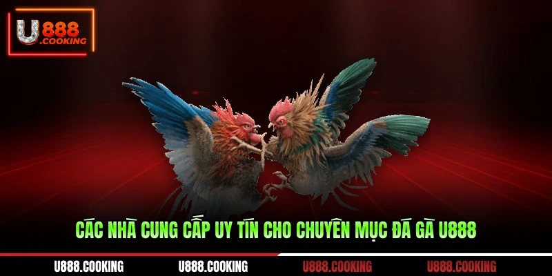 cac-nha-cung-cap-uy-tin-cho-chuyen-muc-da-ga-u888