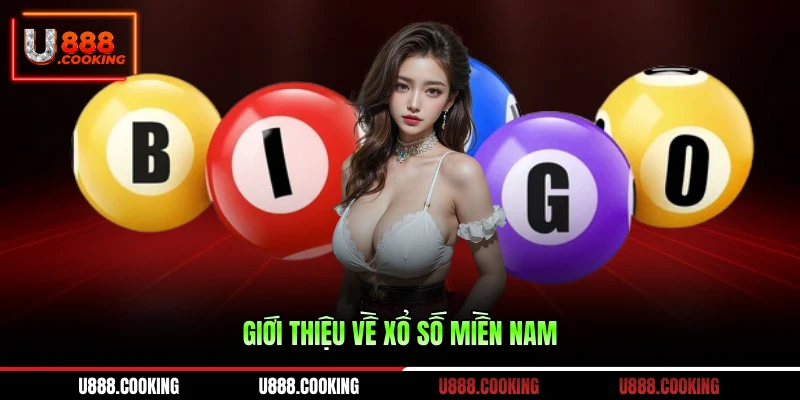 gioi-thieu-ve-xo-so-mien-nam