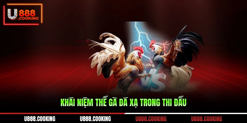 khai-niem-the-ga-da-xa-trong-thi-dau