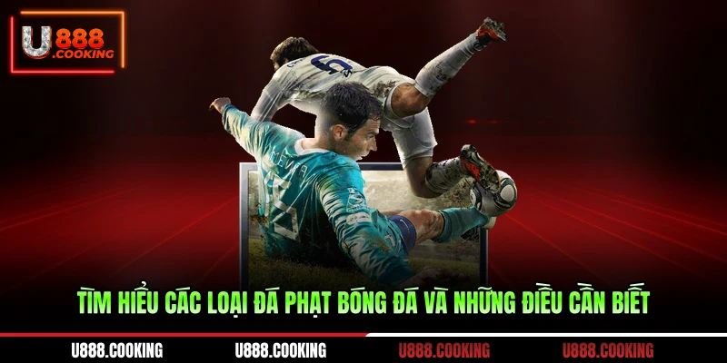 tim-hieu-cac-loai-da-phat-bong-da-va-nhung-dieu-can-biet