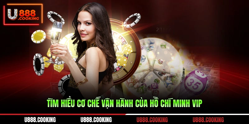 tim-hieu-co-che-van-hanh-cua-ho-chi-minh-vip-(2)