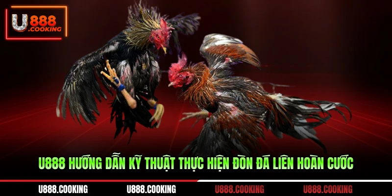 u888-huong-dan-ky-thuat-thuc-hien-don-da-lien-hoan-cuoc